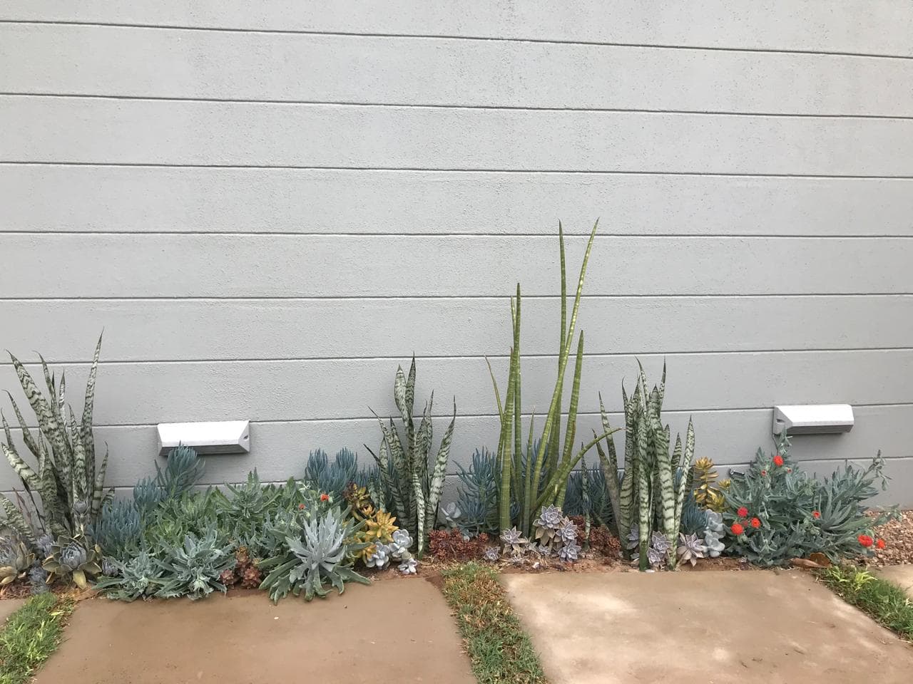 Garden Makeover — Complete garden redesign with water-wise plant selection